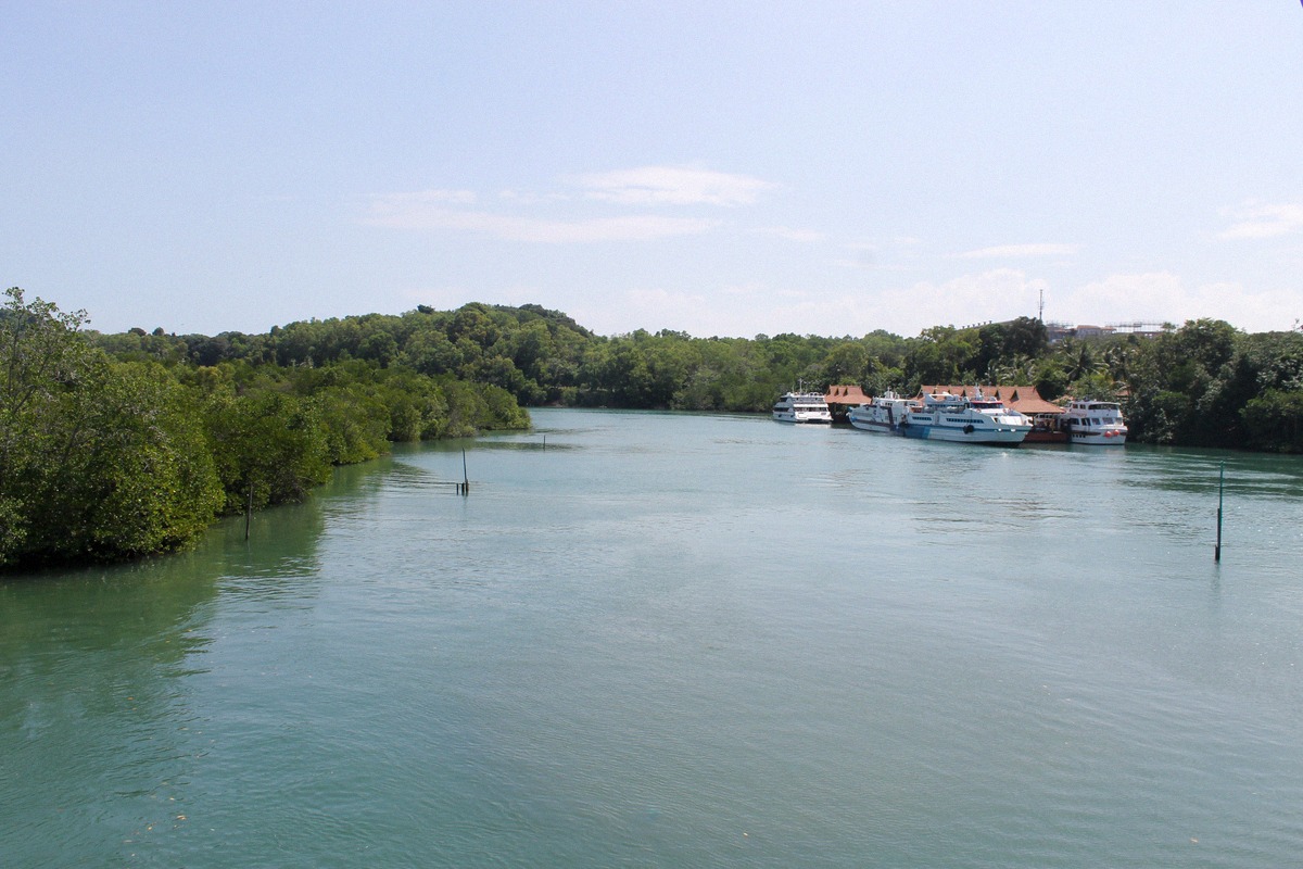 Nongsapura ferry terminal on Batam, with ferries moored along a mangrove channel