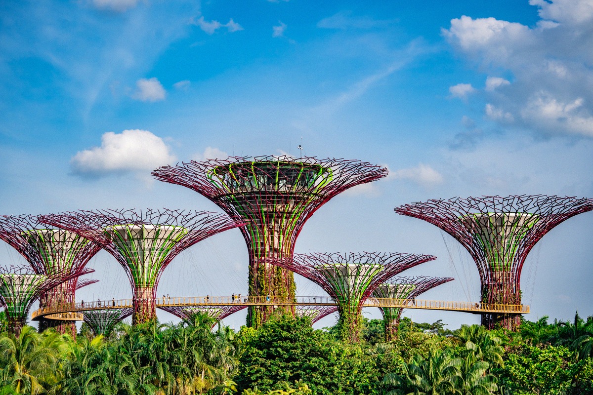 Supertree Grove at Gardens by the Bay in Singapore